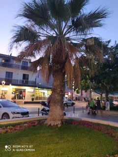 IMG_20220731_204604.jpg