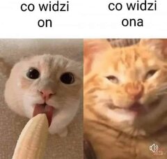 Co widzi ... 🤣