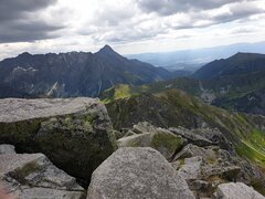 20220719_143008.jpg