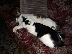20220131_161245.jpg