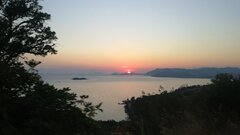 IMG_20220728_200839.jpg