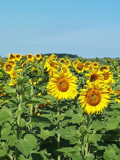 20220802_103058.jpg