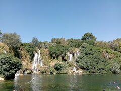 IMG_20220802_102443.jpg