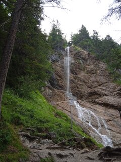 IMG_20220721_105219.jpg