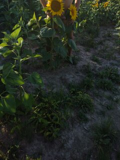 IMG_20220724_190601165.jpg