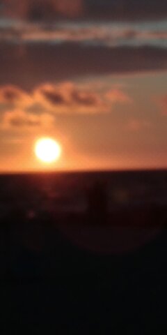 IMG_20220801_204403.jpg