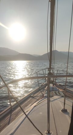 IMG_20220803_193951.jpg