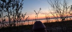 20220803_205831.jpg