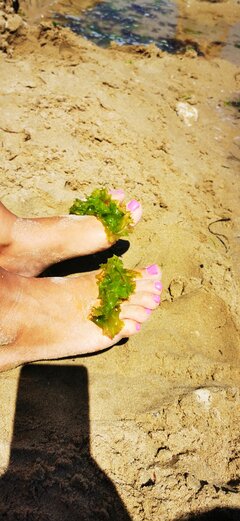 IMG_20220803_130348.jpg