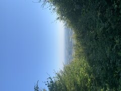 EEA58A5F-F486-439A-8491-9745789ED132.jpeg