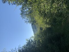 B0705489-2127-43E6-BD39-1C410E345B28.jpeg