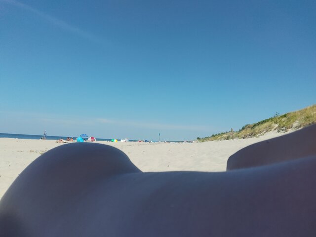 parkawarmia
