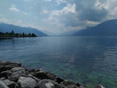 IMG_20200626_122550.jpg