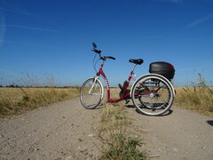 DSC00373.JPG