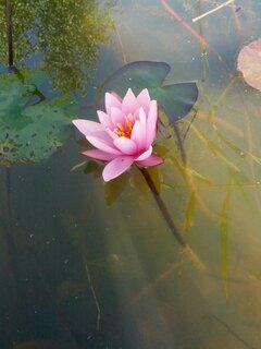 2015-09-17_13.07.22.jpg