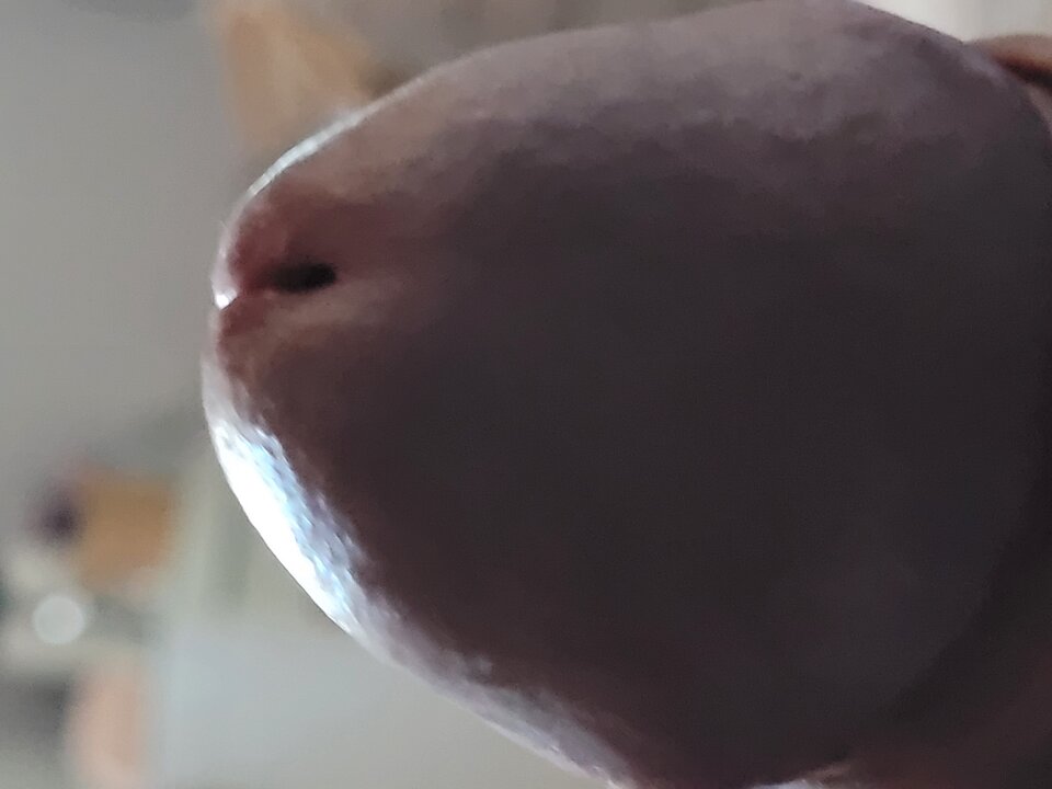 20220807_181340.jpg - gutek1234