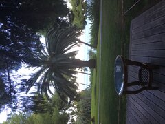AEE05910-4EBE-4785-91A5-A10DAD9E7215.jpeg