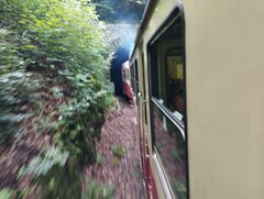 IMG_20220806_130603.jpg