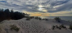 20220729_190328.jpg