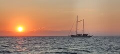 IMG_20220808_070436.jpg