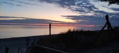IMG_20220809_045024.jpg