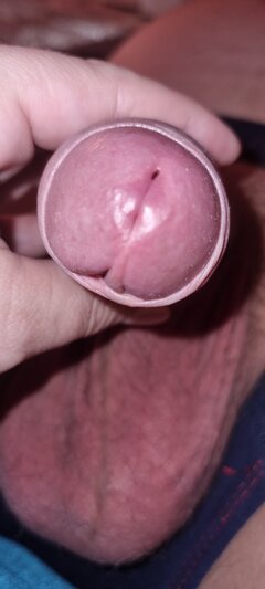 IMG_20220808_111157.jpg