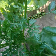 20220809_180408.jpg