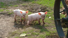 DSC05734.JPG