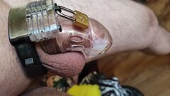 IMG_20220810_190305.jpg