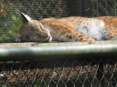 DSCN3053.JPG