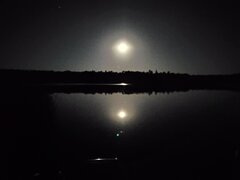 IMG_20220811_001932.jpg
