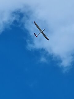 20220811_131212.jpg