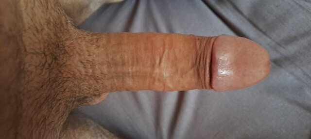 bexsa12