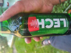 IMG_20220812_190753.jpg