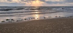 20220809_070313.jpg