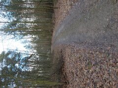IMG_20220202_151540_01.jpg