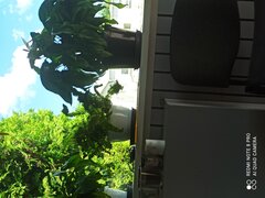 IMG_20220810_133800.jpg