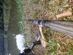20220813_074904.jpg