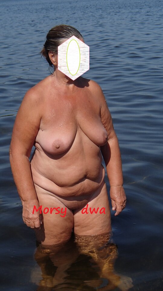 W zatoce Puckiej. - Morsy_dwa