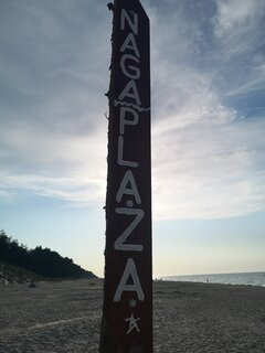 IMG_20220813_181616.jpg