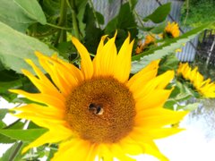 20220814_155215.jpg
