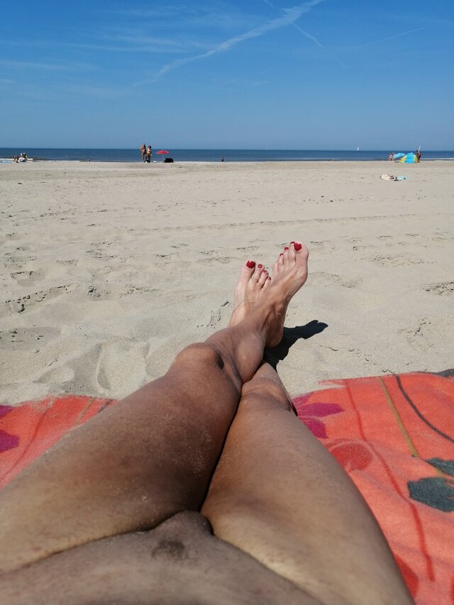 ElisCross