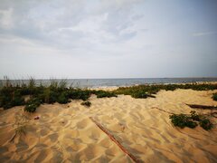 IMG_20220814_184620.jpg