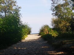 IMG_20210929_125538.jpg