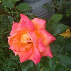 20220814_083141.jpg