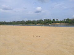 IMG_20220815_211611.jpg