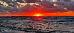 IMG_20220807_205546.jpg