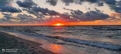 IMG_20220809_161257.jpg