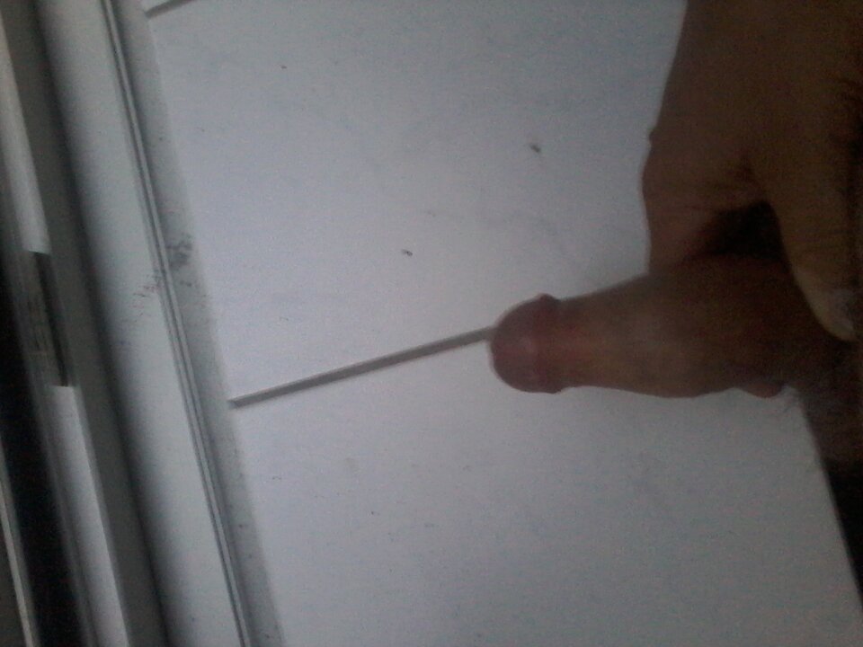 16606226804781842758563.jpg - sebus1