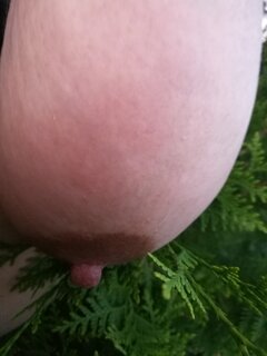 IMG_20220813_200253.jpg